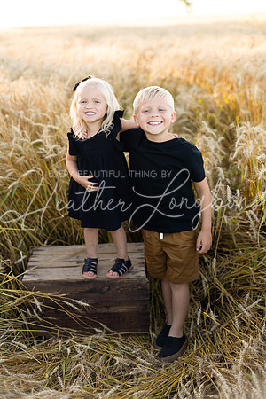 Wheat field Speirs-2