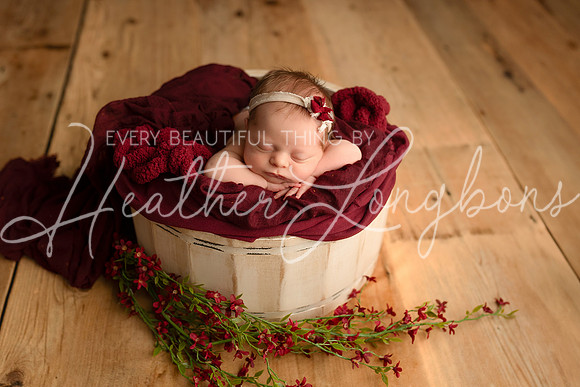 Harris Newborn-19