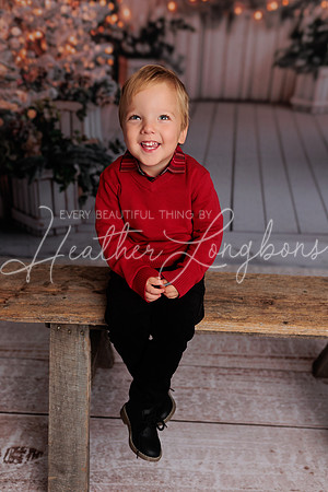 Christmas 2024 Taylors-9