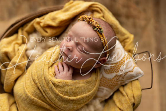 Johanna newborn-11