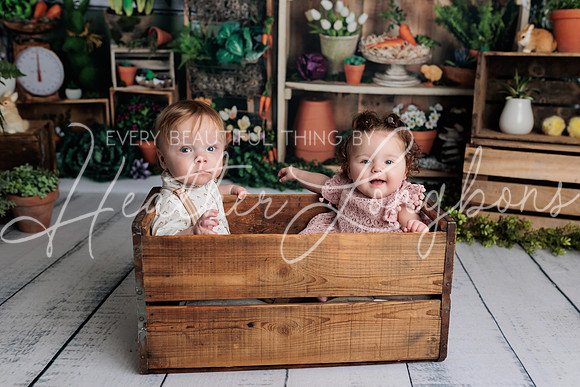 Taylor Twins Spring Minis-4
