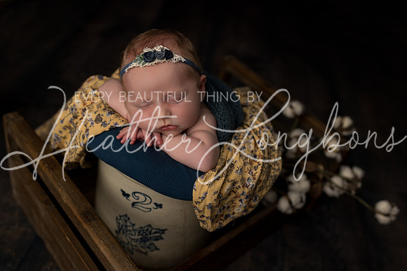 Colbie newborn-24