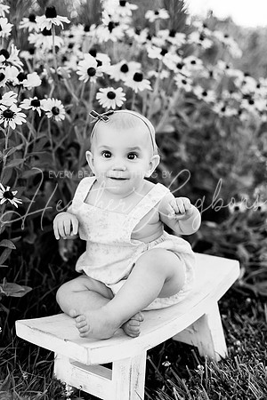 Van Matre family 2024-98BW