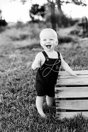 Maddux One Year-9BW