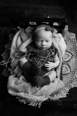 Flossie newborn-11BW
