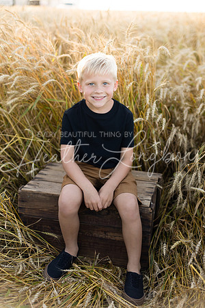 Wheat field Speirs-16
