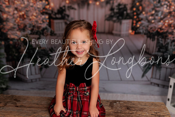 Christmas 2024 Taylors-13