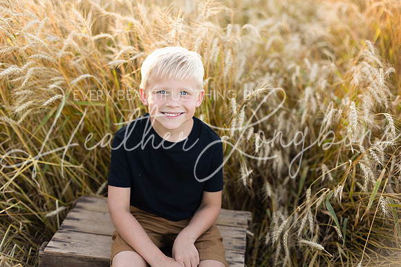 Wheat field Speirs-18