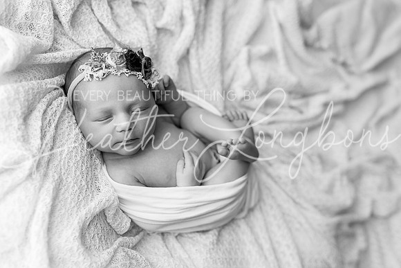 Collins Ward Newborn-8BW