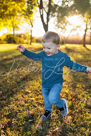 Fall Minis Maas family-23