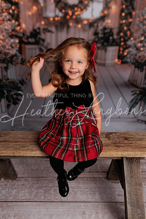 Christmas 2024 Taylors-11