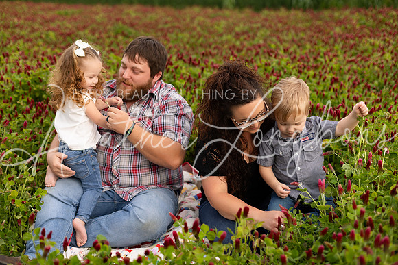 Clover Taylor family-11