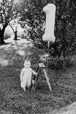 Brooks One Year-2BW