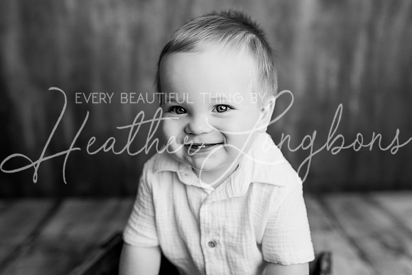 Bennett Webb One Year BW-8