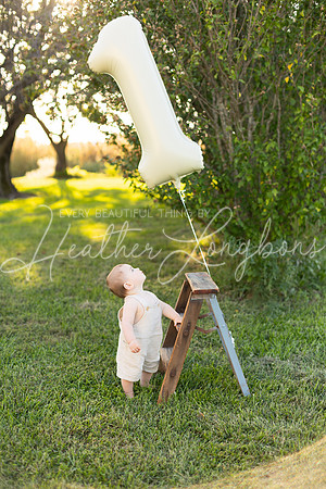 Brooks One Year-1