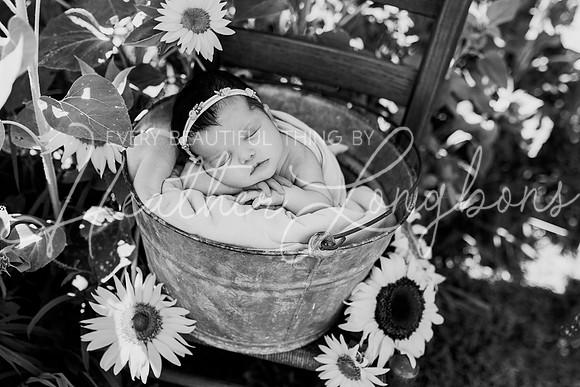 Emery Newborn-102BW
