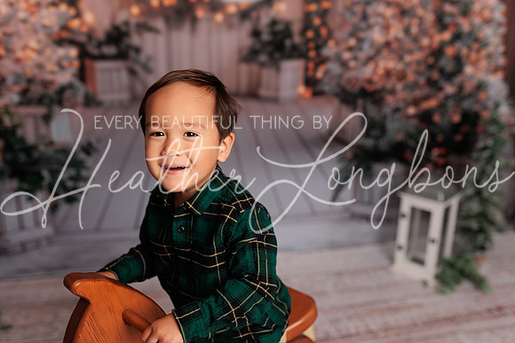 2024 Christmas McDaniel-13