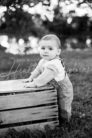 Brooks One Year-75BW