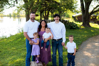 Case Extended family-10