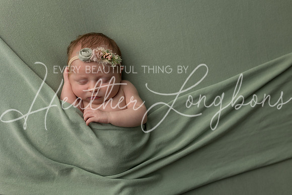 Colbie newborn-29