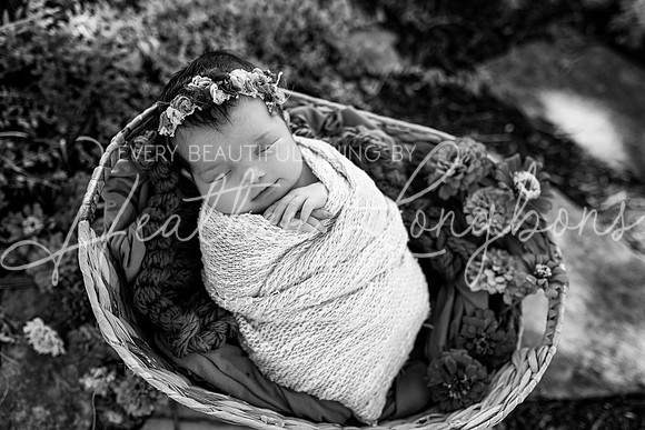 Emery Newborn-106BW