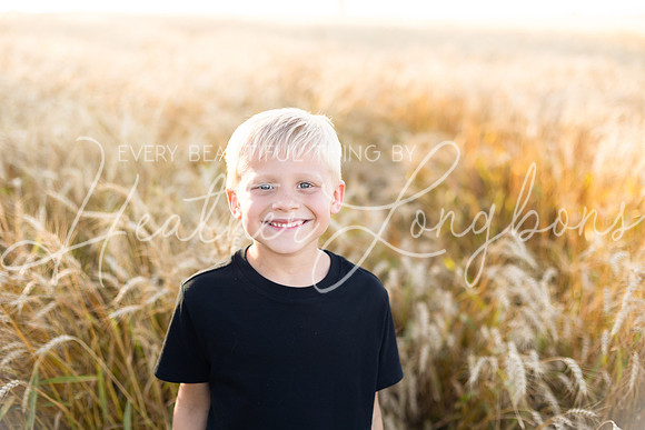 Wheat field Speirs-22