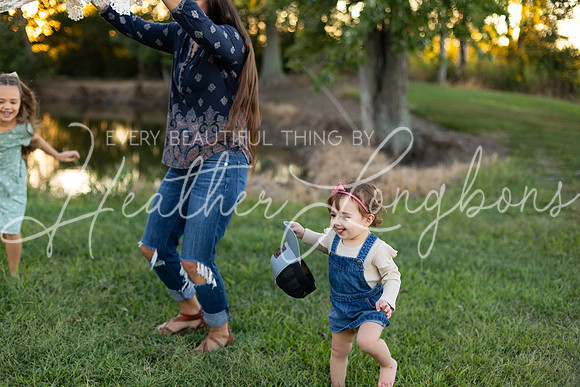 Sunset Wolfe family-81