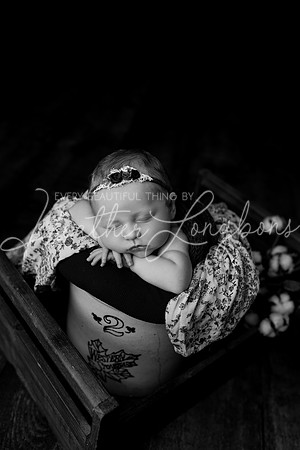 Colbie newborn-25BW