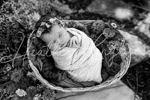 Emery Newborn-105BW