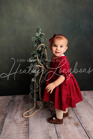 Forrest VanMatre Newborn-3