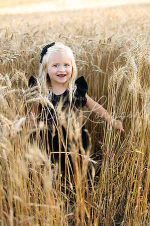 Wheat field Speirs-42