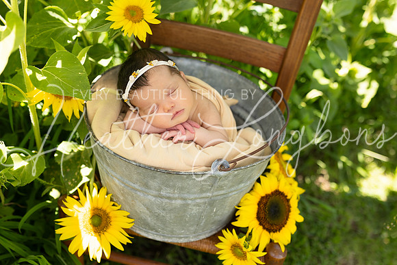 Emery Newborn-102