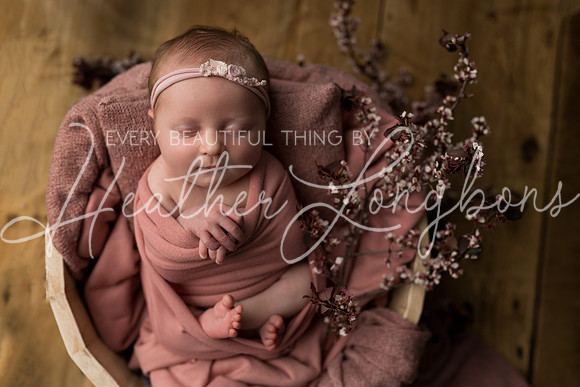 Colbie newborn-21