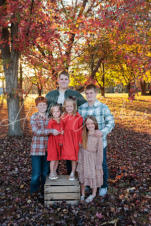 Wiseman family 2024-12
