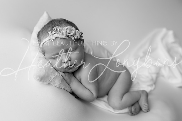 Colbie newborn-26BW