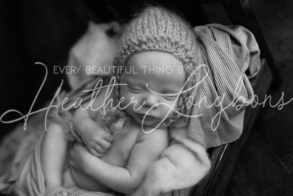 Dawson newborn-31BW