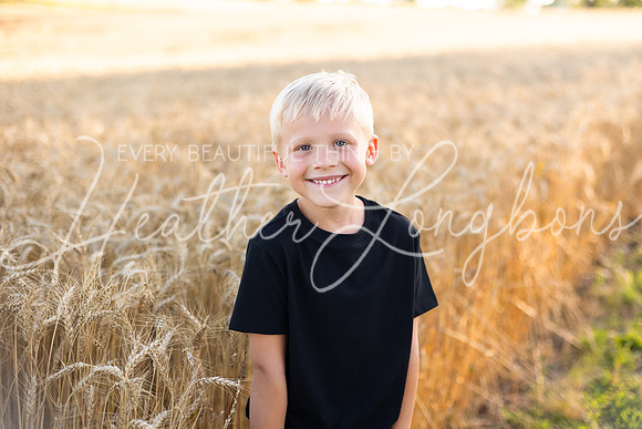 Wheat field Speirs-36