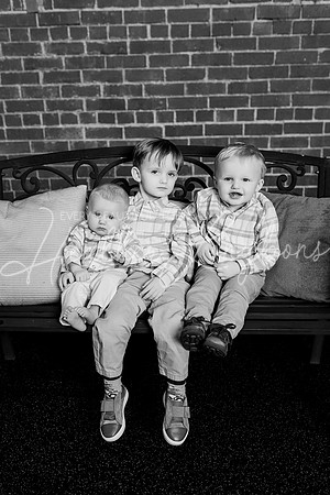 Hortin Extended family-65BW