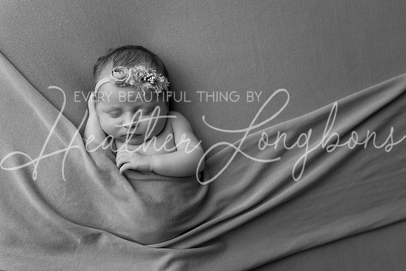 Colbie newborn-29BW