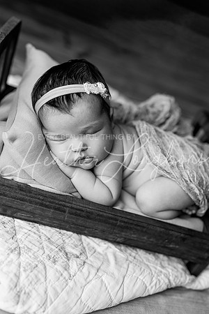 Emery Newborn-87BW