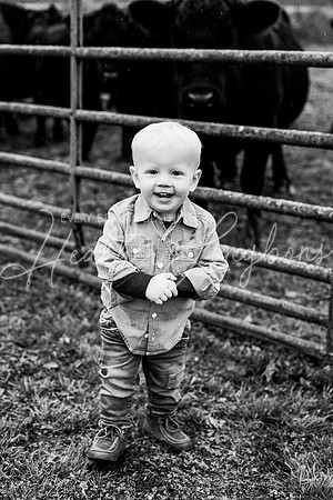 Bell Extended family-32BW