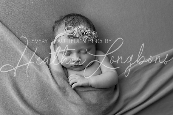 Colbie newborn-30BW