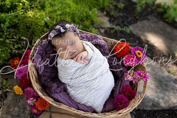 Emery Newborn-107