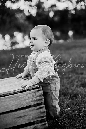 Brooks One Year-81BW
