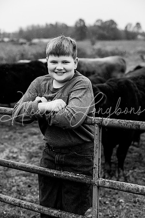 Bell Extended family-38BW