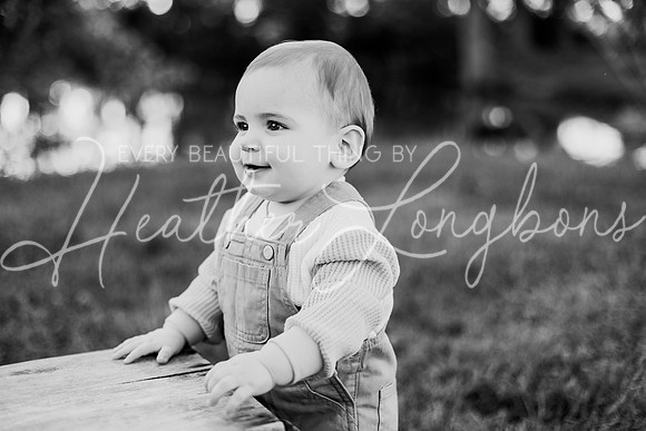 Brooks One Year-79BW