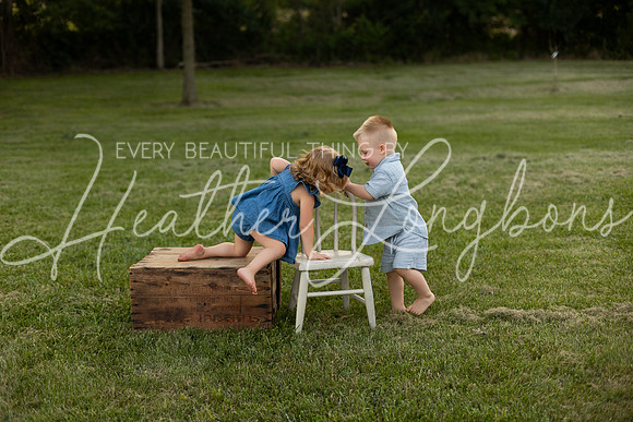 Cochren Twins 2 years-136