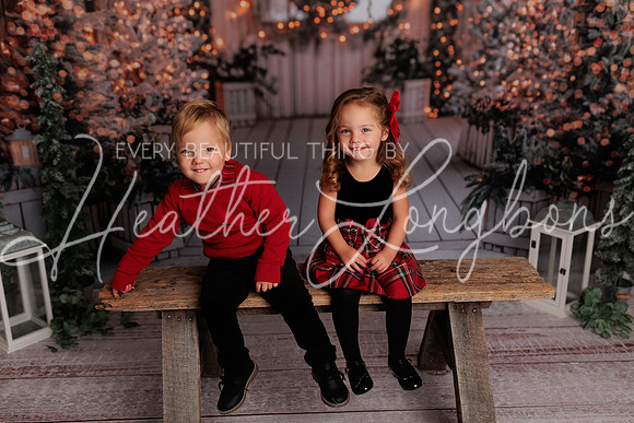 Christmas 2024 Taylors-3