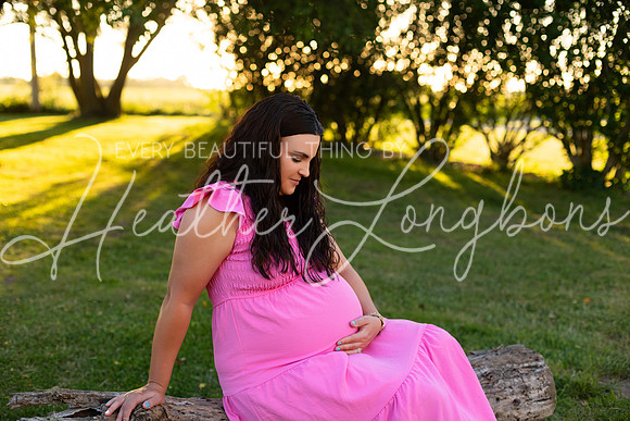 Tyler and Mackenzie Maternity 2024-61