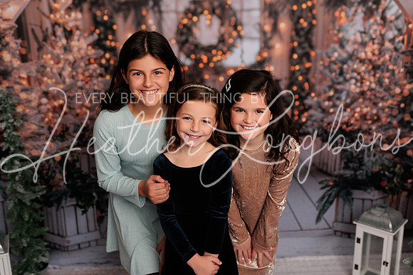 2024 Christmas Fewkes-6